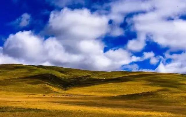 中(zhong)國(guo)20箇(ge)美豔絕倫的(de)景觀，你去過(guo)10箇(ge)就算旅遊達人(ren)啦